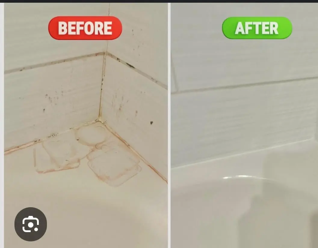 Bathroom grout and mold restored after deep cleaning in Palm Harbor