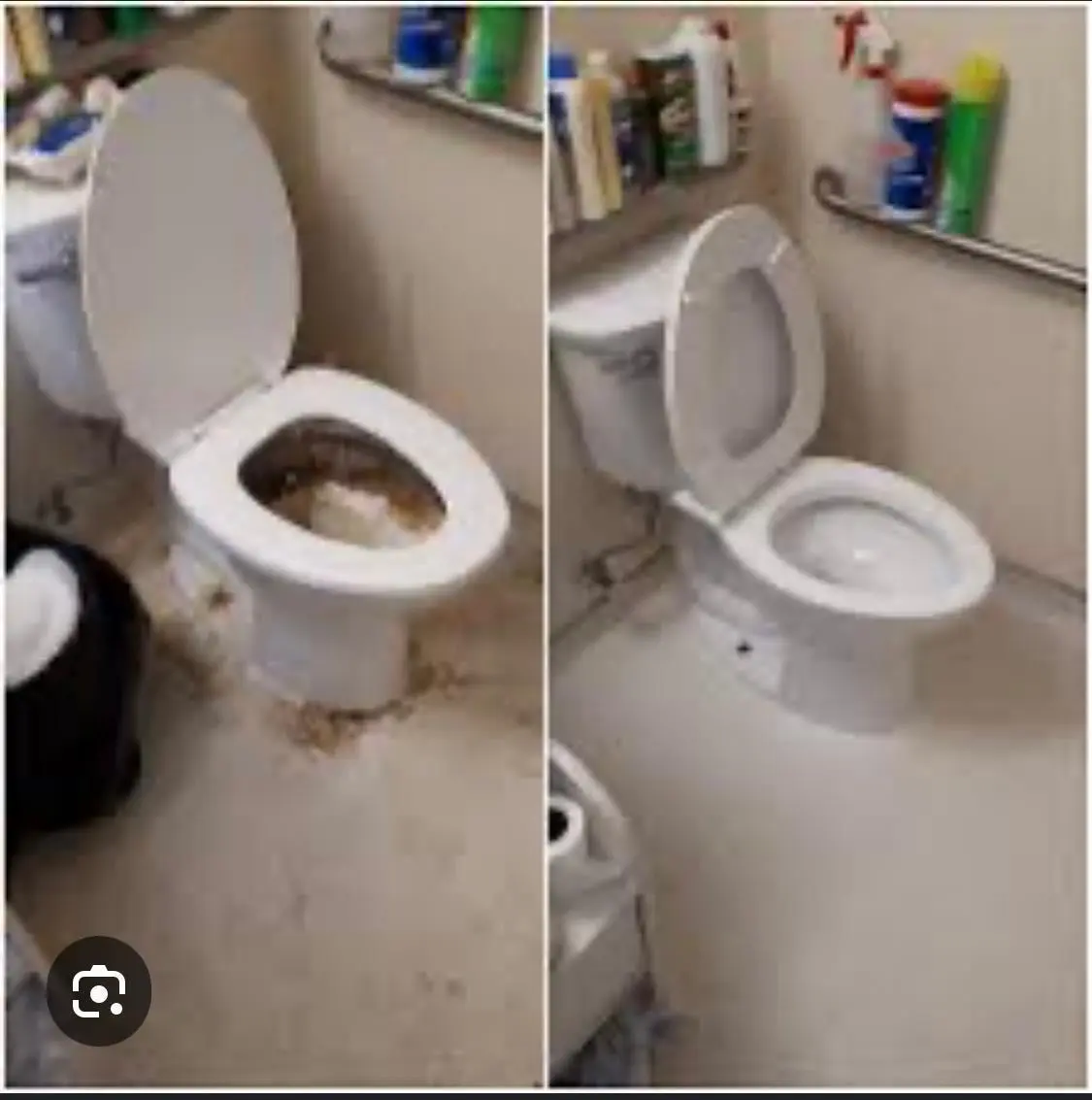 Sanitized toilet before and after professional bathroom cleaning in Palm Harbor